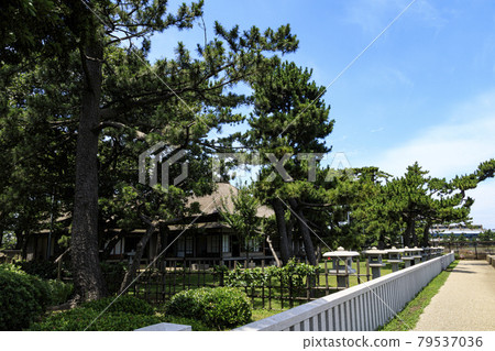 Summer of Ito Hirobumi Bettei in Nojima Park, Kanazawa Ward, Yokohama City, Kanagawa Prefecture Summer of Ito Hirobumi Bettei in Nojima Park, Kanazawa Ward, Yokohama City, Kanagawa Prefecture 79537036