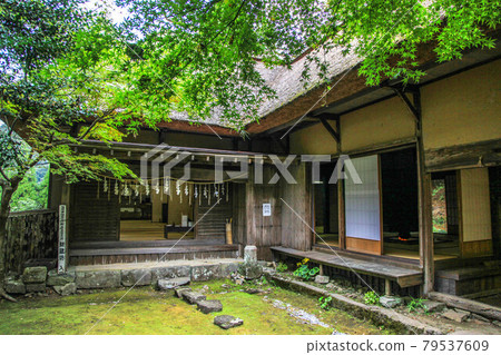 Hidehiko Yamage Zuribo 79537609