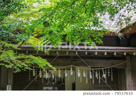 Hidehiko Yamage Zuribo 79537610