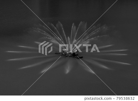 水壩湖上盛開的花... 79538632