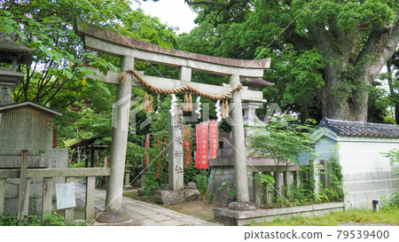 京都Misono Munakata神社 京都Misono Munakata神社 79539400