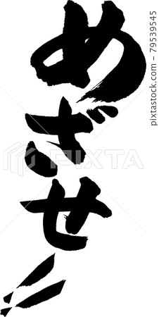 目標 (06) 79539545