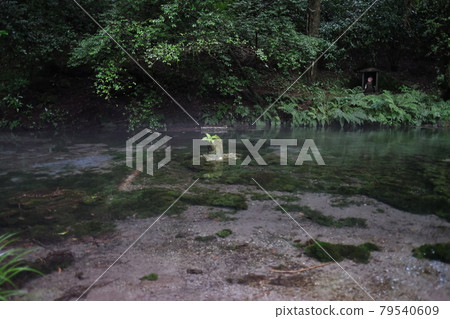 Pond of Ikeyama source Pond of Ikeyama source 79540609