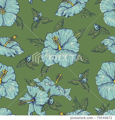 Vintage seamless pattern with line art blue hibiscus flowers, buds and leaves, with dark outline. On green background. Vintage seamless pattern with line art blue hibiscus flowers, buds and leaves, with dark outline. On green background. 79540672