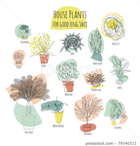 Colorful set of various potted houseplants for good feng shui. Abstract shapes on background Colorful set of various potted houseplants for good feng shui. Abstract shapes on background 79540721