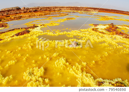 Danakil Depression Salt crystals colored yellow with sulfur from Dallol Danakil Depression Salt crystals colored yellow with sulfur from Dallol 79540898