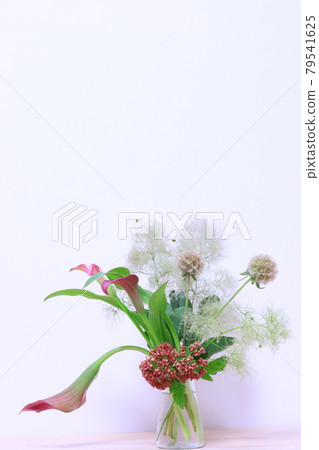 Arrangement of smoke tree Arrangement of smoke tree 79541625
