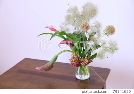 Arrangement of smoke tree Arrangement of smoke tree 79541630