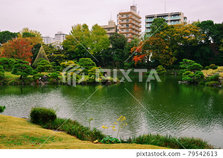 城市中的花園 城市中的花園 79542613