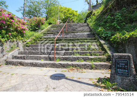 Triangle West Port Triangle West Port 79543514