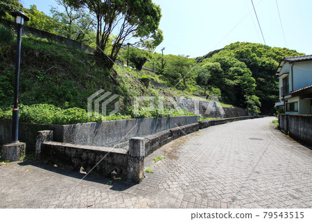 三角西港 79543515