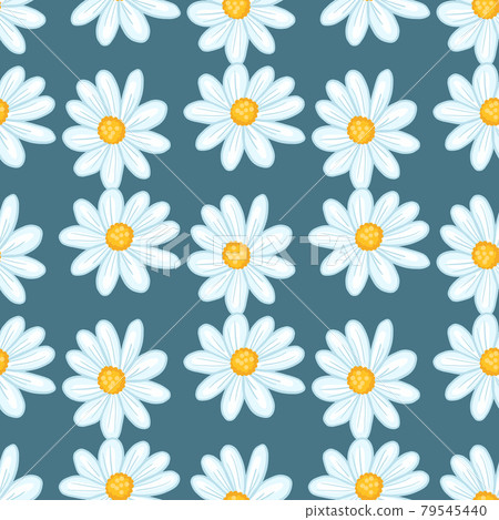 Vintage summer seamless pattern with cute daisy flowers ornament. Navy blue pale background. Bloom backdrop. Vintage summer seamless pattern with cute daisy flowers ornament. Navy blue pale background. Bloom backdrop. 79545440