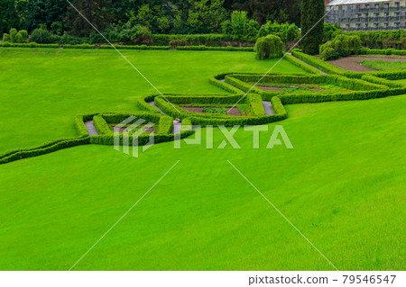 View of Parterre Amphitheatre in Sofiyivka park in Uman, Ukraine 79546547