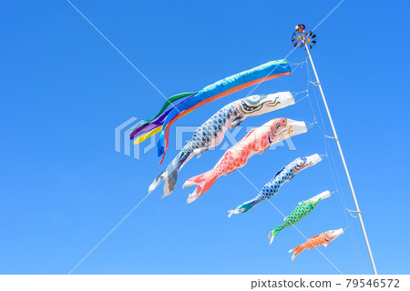 湛藍天空中的鯉魚旗 湛藍天空中的鯉魚旗 79546572