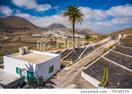 small town La Haria. Lanzarote. Canary Islands. Spain 79546579