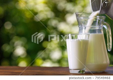 milk pouring from metal can into glass jug outdoors 79549468