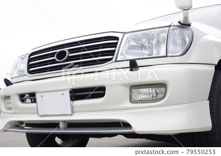 Toyota Land Cruiser 100 series front mask 79550253