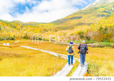 Autumn Tsugaike Natural Garden Mountaineers enjoying hiking [Nagano Prefecture] 79553435