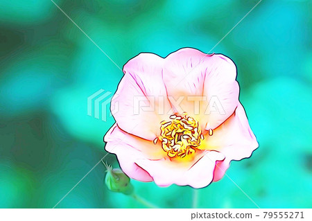 柔和的風格“盛開的玫瑰花”插圖圖像 柔和的風格“盛開的玫瑰花”插圖圖像 79555271