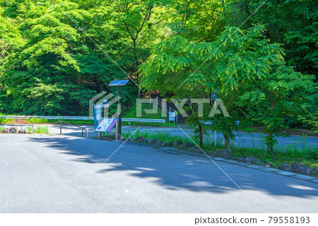 Kumanotaira Station Parking Lot Apt Road Entrance Early Summer Scenery 79558193