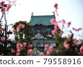 Bairin and Osaka Castle 79558916