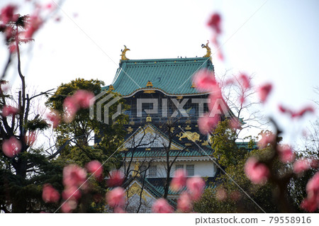 Bairin and Osaka Castle Bairin and Osaka Castle 79558916