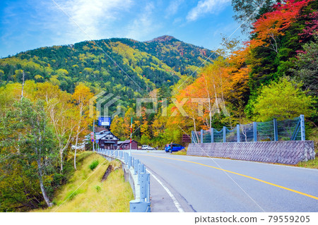 Konsei Toge in autumn colors 79559205