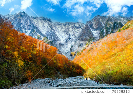 Ichino Kurasawa's three-tiered autumn leaves Ichino Kurasawa's three-tiered autumn leaves 79559213