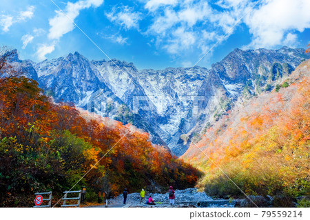 Ichino Kurasawa with three-tiered autumn leaves 79559214