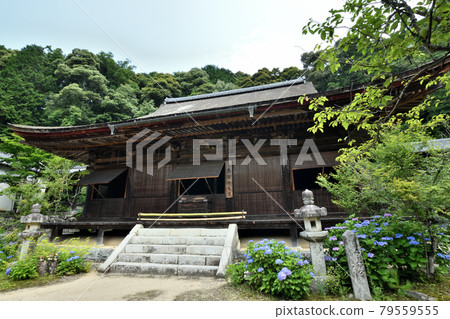 桑之寺本堂（桑峰藥師）[滋賀縣近江八幡市安土町] 79559555