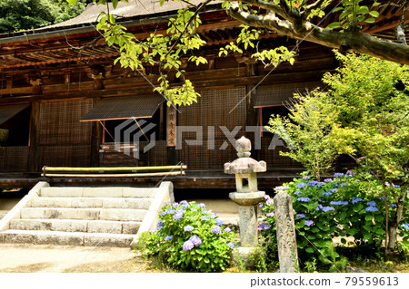 桑之寺本堂（桑峰藥師）[滋賀縣近江八幡市安土町] 79559613