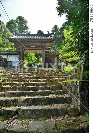 Kuwanomidera (Kuwamine Yakushi) Sanmon [Azuchi Town, Omihachiman City, Shiga Prefecture] 79559666