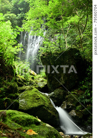 Cool Waterfall [和歌山縣日高區日高川町山野] 79560704