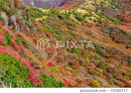 秋天的九重山和荻假名附近 秋天的九重山和荻假名附近 79560717