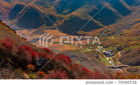 秋葉九重山、沼澤 秋葉九重山、沼澤 79560726