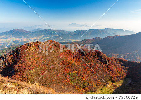 秋色中的九重山、水俁山、由布山 秋色中的九重山、水俁山、由布山 79560729