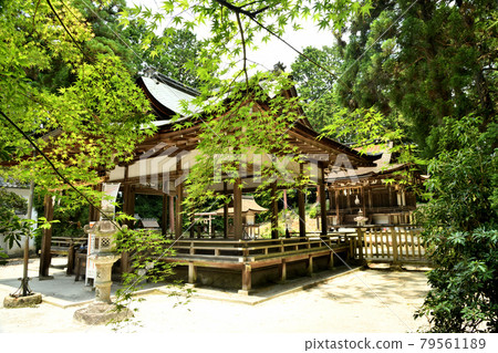 Osasahara Shrine [Yasu City, Shiga Prefecture] 79561189