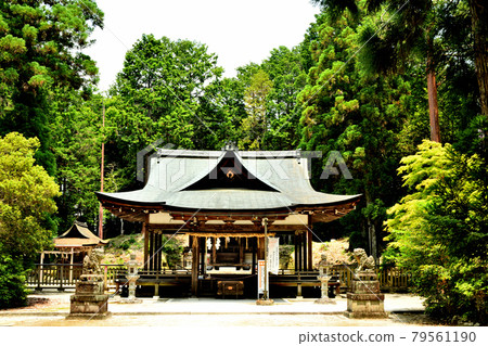 Osasahara Shrine [Yasu City, Shiga Prefecture] 79561190