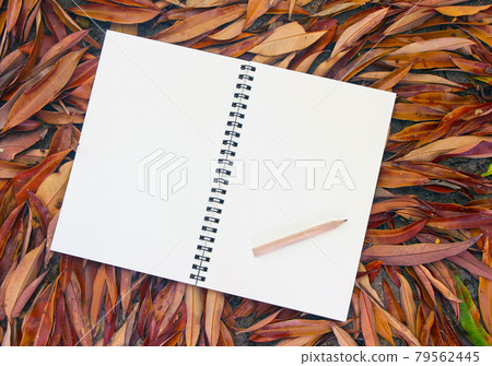 notebook on dry leaf background 79562445