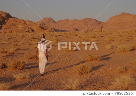 [Jordan] A Bedouin boy walking in the vast desert Wadiram, the dusk 79562550