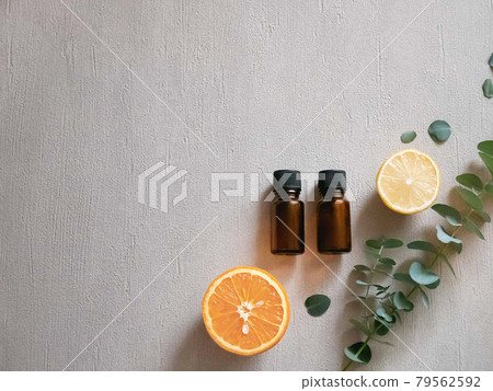 Lemon and orange citrus and eucalyptus leaves. Relaxing aroma scent. 79562592