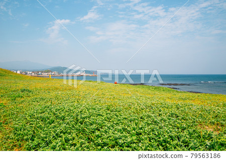 Sagye Beach and green field, Jeju Olle Trail in Jeju Island, Korea Sagye Beach and green field, Jeju Olle Trail in Jeju Island, Korea 79563186