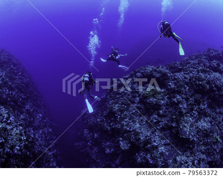 潛水員和大海 潛水員和大海 79563372