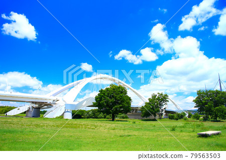 Scenery of Toyota Ohashi Bridge over the fresh green Yahagi River 79563503