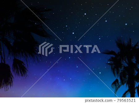 棕櫚樹和星空,夏日夜空景觀 棕櫚樹和星空,夏日夜空景觀 79563521