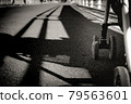 Monochrome image of a walk in a stroller 79563601