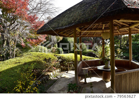 太藏院風景 太藏院風景 79563627