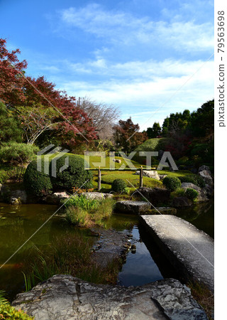 Scenery of Taizo-in Temple 79563698