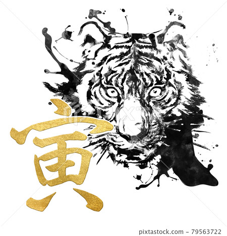 老虎過年的材料 79563722