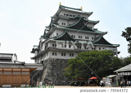 名古屋城樓 / 愛知縣名古屋市 名古屋城樓 / 愛知縣名古屋市 79564372